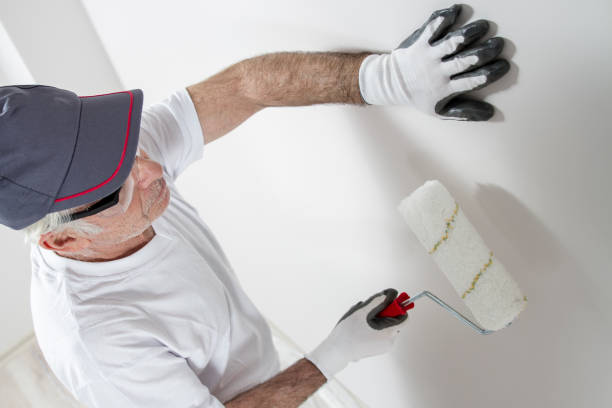 Best Environmental Consulting for Mold Prevention  in Cherokee Village, AR