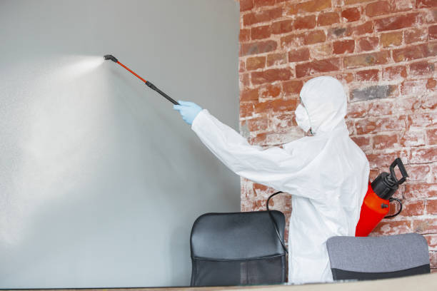 Best Mold Odor Removal Services  in Cherokee Village, AR