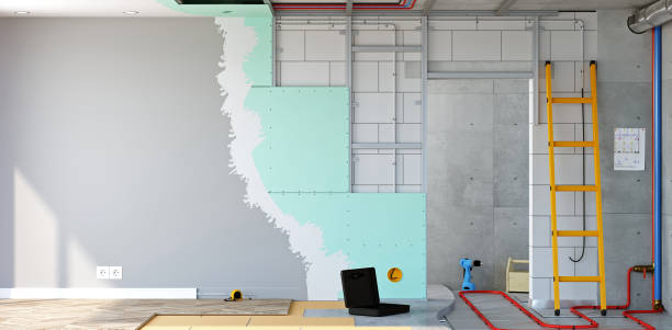 Best Basement Mold Removal  in Cherokee Village, AR
